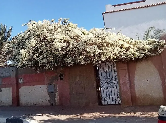House With Backyard In Tatil Evi Dahab